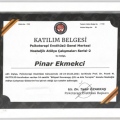 Resmi büyüt: certificate 5