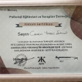 Resmi büyüt: certificate 6