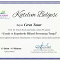 Resmi büyüt: certificate 12