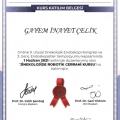 Resmi büyüt: certificate 1