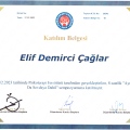 Resmi büyüt: certificate 39