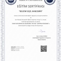 Resmi büyüt: certificate 4