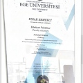 Resmi büyüt: certificate 2