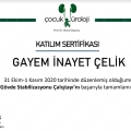Resmi büyüt: certificate 3