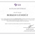Resmi büyüt: certificate 16