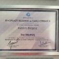 Resmi büyüt: certificate 2