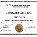 Resmi büyüt: certificate 12