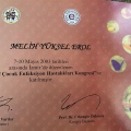 Resmi büyüt: certificate 39