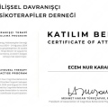 Resmi büyüt: certificate 16