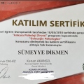Resmi büyüt: certificate 16