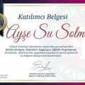Resmi büyüt: certificate 1