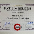 Resmi büyüt: certificate 33