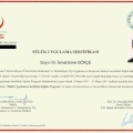 Resmi büyüt: certificate 3