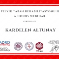 Resmi büyüt: certificate 3