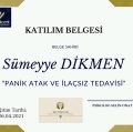 Resmi büyüt: certificate 14