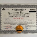 Resmi büyüt: certificate 40