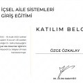 Resmi büyüt: certificate 1