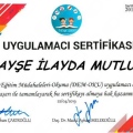 Resmi büyüt: certificate 7