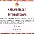 Resmi büyüt: certificate 20
