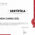 Resmi büyüt: certificate 13