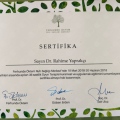 Resmi büyüt: certificate 6