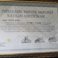 Resmi büyüt: certificate 4