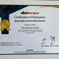 Resmi büyüt: certificate 4