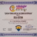Resmi büyüt: certificate 17