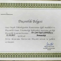 Resmi büyüt: certificate 1