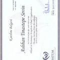 Resmi büyüt: certificate 12