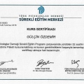 Resmi büyüt: certificate 15
