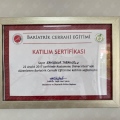Resmi büyüt: certificate 8