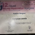 Resmi büyüt: certificate 9