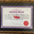 Resmi büyüt: certificate 7