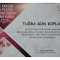 Resmi büyüt: certificate 4