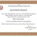 Resmi büyüt: certificate 1