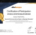 Resmi büyüt: certificate 14