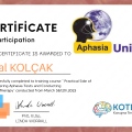 Resmi büyüt: certificate 5
