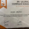 Resmi büyüt: certificate 13