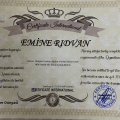 Resmi büyüt: certificate 6