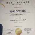 Resmi büyüt: certificate 1