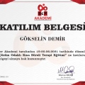 Resmi büyüt: certificate 19