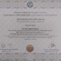 Resmi büyüt: certificate 3