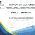 Resmi büyüt: certificate 8