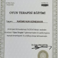 Resmi büyüt: certificate 4