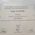Resmi büyüt: certificate 1