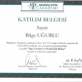 Resmi büyüt: certificate 16