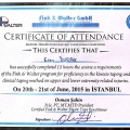Resmi büyüt: certificate 9