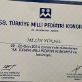 Resmi büyüt: certificate 41