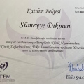 Resmi büyüt: certificate 17